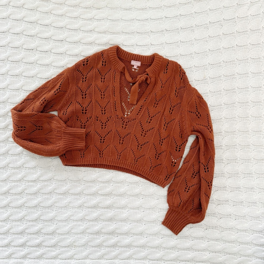 Le Rumi Rust Knit Sweater - Picture 2 of 4
